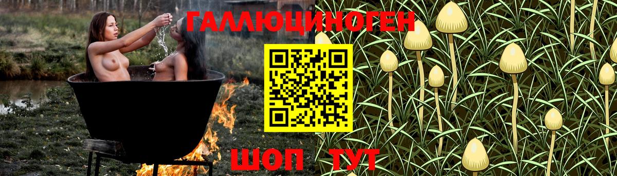 Псилоцибиновые грибы мицелий Павловский Посад