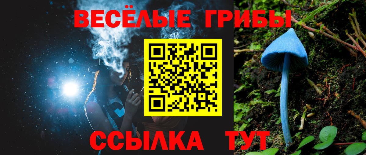 МЕФ   ГАШИШ  Павловский Посад  Альфа ПВП СК   Мефедрон  Бошки Шишки  Вход с VPN 